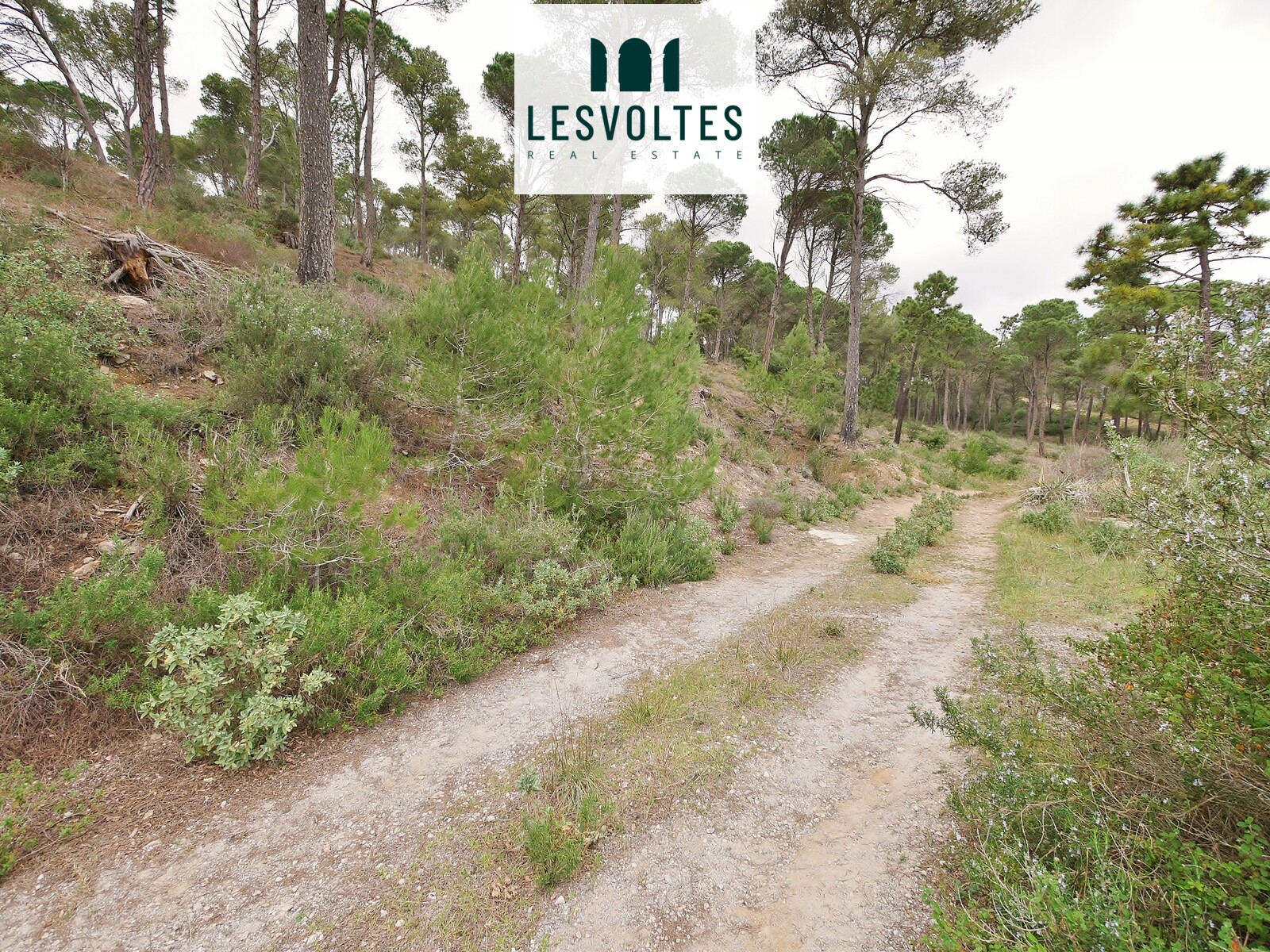 PLOT OF 1255 M² LOCATED IN RESIDENCIAL BEGUR